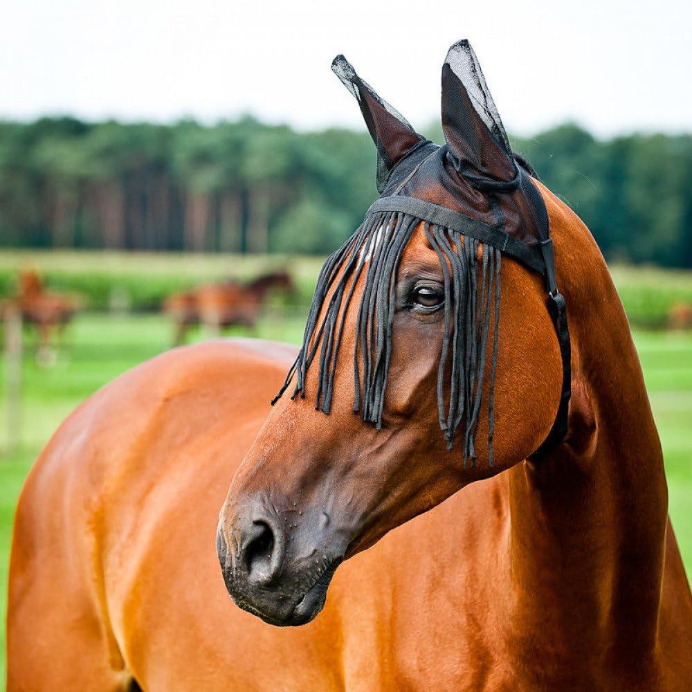 Summer Insect Protection Horse Fly Mask