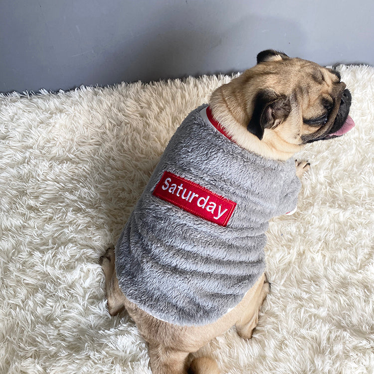 Keep Your Pup Cozy: The Ultimate Pet Sweater