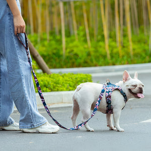 Safe And Strong Pet Leash Essentials