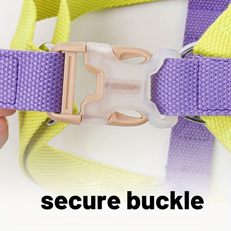 Discover the Joy of Freedom with the Pet Rainbow Colorblock Anti Escape Harness Set