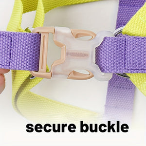 Discover the Joy of Freedom with the Pet Rainbow Colorblock Anti Escape Harness Set