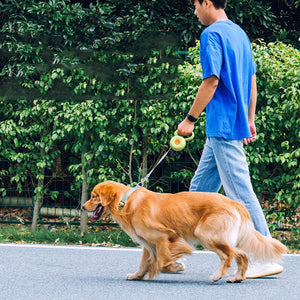 Unleash the Joy of Walks with Our Reflective Pet Leash