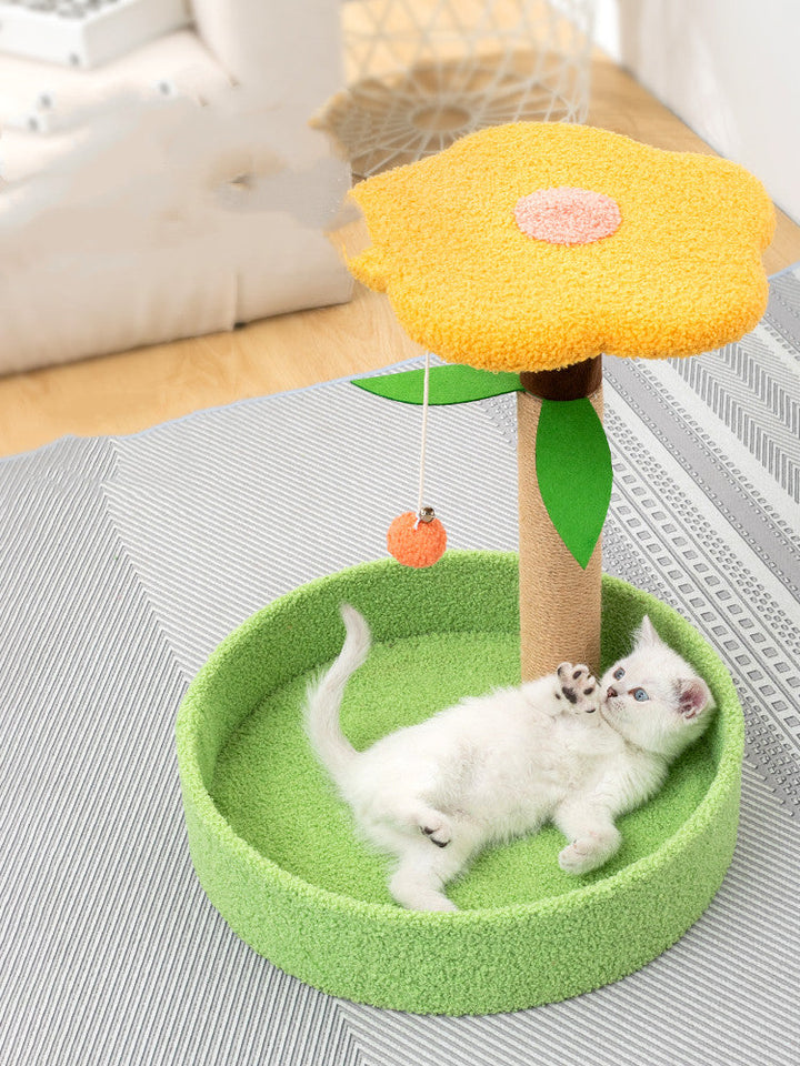 Discover the Ultimate Pet Claw Grinding Teasing Toy!