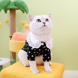 Dress Your Pet in Style with Our Pet Blue T-Shirt Clothing