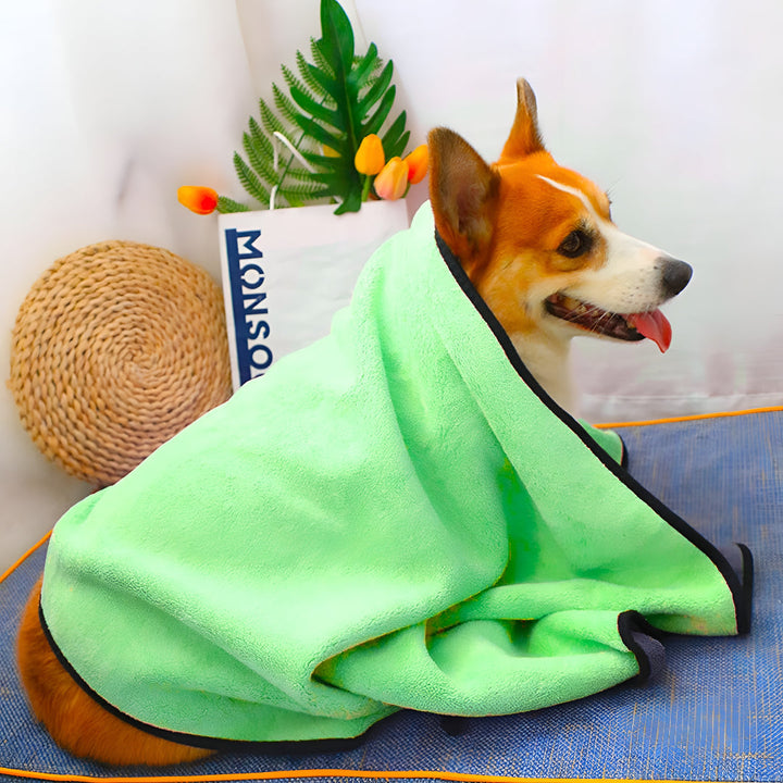 Bath Supplies For Fresh Clean Pets Daily