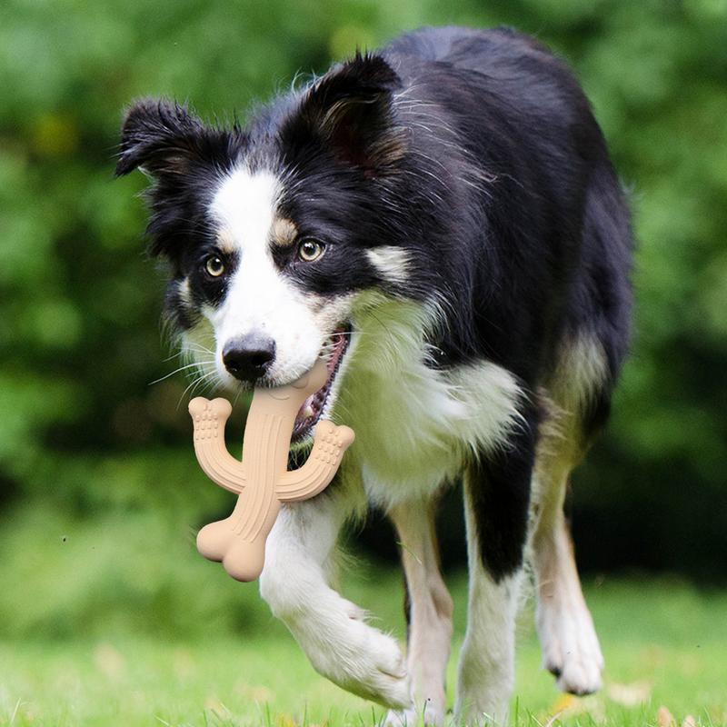 Unleash the Fun with the Pet Cactus Durable Chew Toy