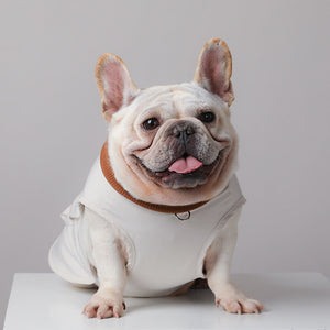 Explore the Comfort and Style of the Pet Functional Leisure Vest