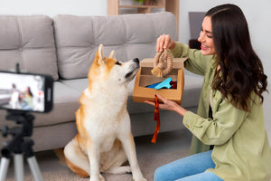 Fun And Engaging Pet Toys Collection