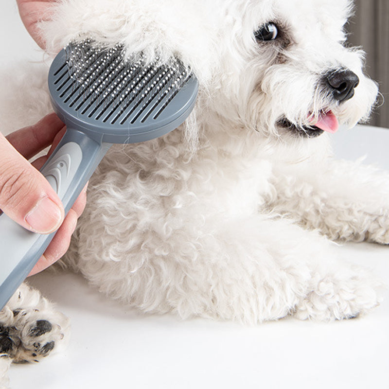 cde92c7ea61092f2b118cfd0857c9db8